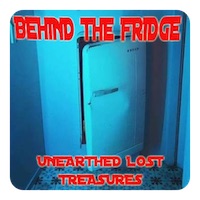 behind the fridge