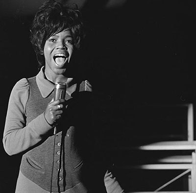 pparnold tv
