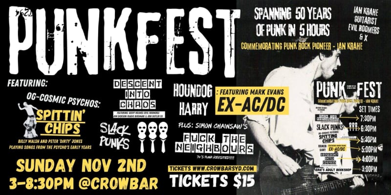punkfest banner