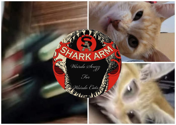 shark arm collage