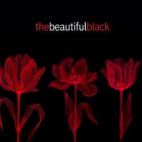 the beautiful black